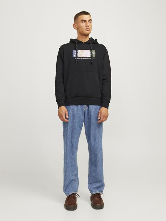 Immagine prodotto Jack & Jones Jorportland Block Sweat Hood Ln (S)