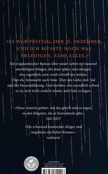 Produktbild Kleine Probleme (Deutsch, Nele Pollatschek, 2023)