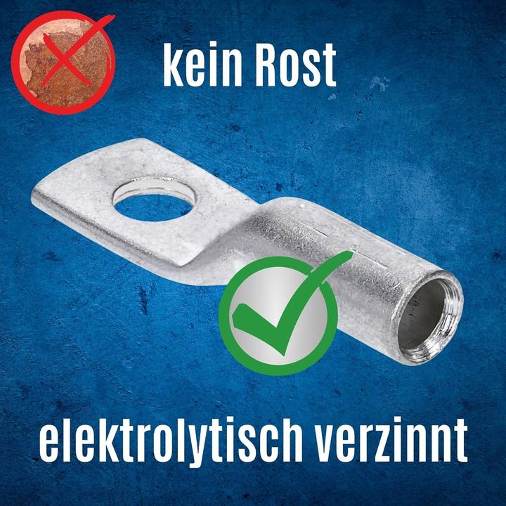 Actual product image Kalitec 10 pieces DR50-6 compression cable lug 50mm² M6 I Connector to DIN 46235 I Made in Germany