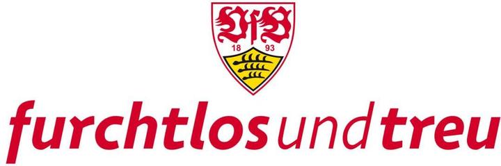 Actual product image VfB Stuttgart fearless and faithful (140 x 46 cm)