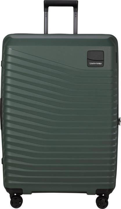 Verde Oliva