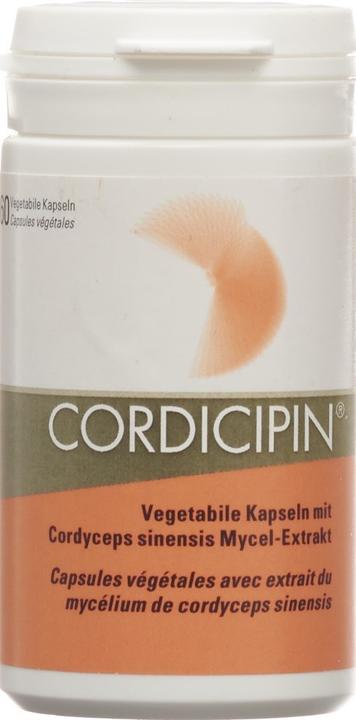 Immagine prodotto Gamu Capsula di estratto di funghi vitale (60 Pezzo/i, Pillole, 40 g)