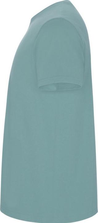 Actual product image Alpinia Mens Stafford T-Shirt (XL)