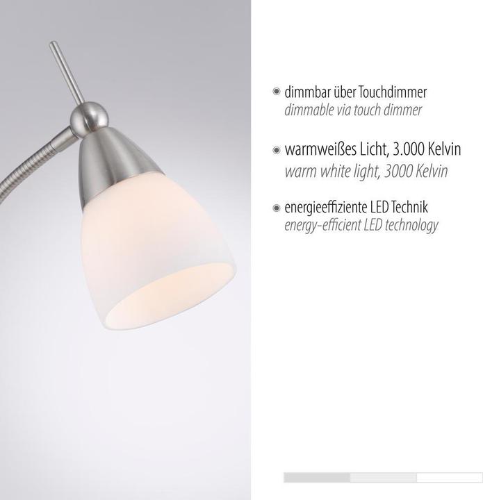 Image du produit Paul Neuhaus Pino (265 lm, G9)
