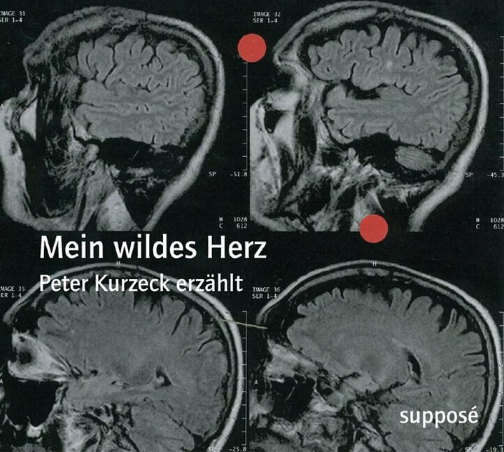 Actual product image My wild heart (Klaus Sander, Peter Kurzeck, German)