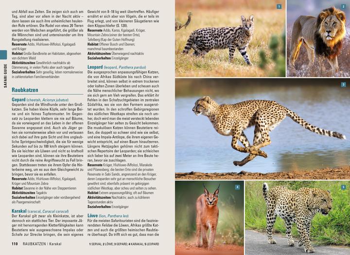 Actual product image Stefan Loose Reiseführer Südafrika, Lesotho und eSwatini (German, Philip Briggs, Ariadne Van Zandbergen, 2024)