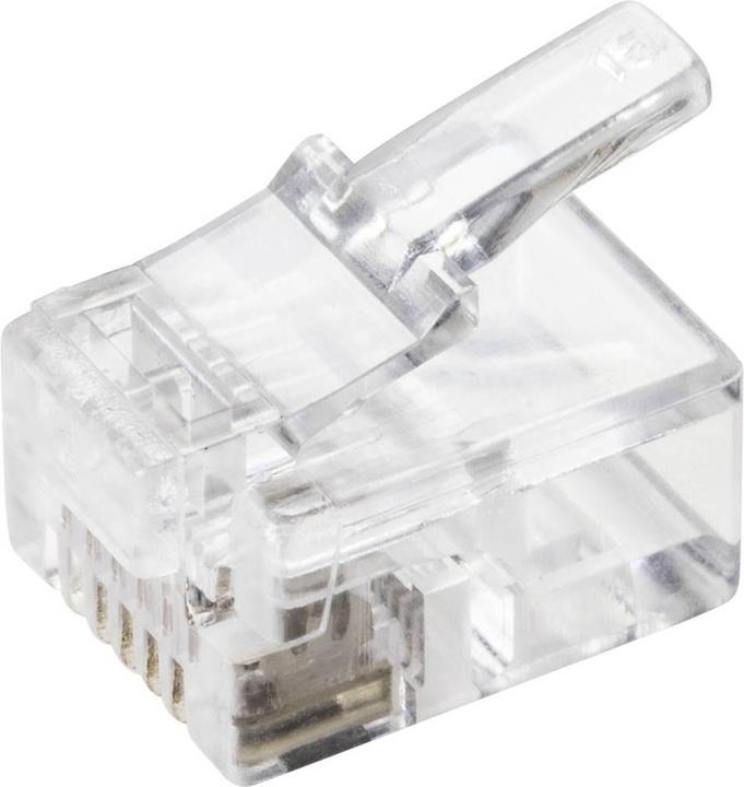 Actual product image Tru Components RJ 12 connector plug, straight Western plug Transparent TC-9202512 5 pcs.