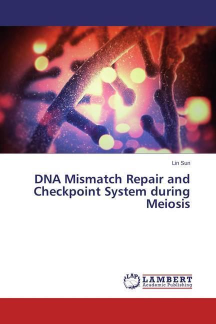 Actual product image DNA Mismatch Repair and Checkpoint System during Meiosis (Lin Sun, 2014)