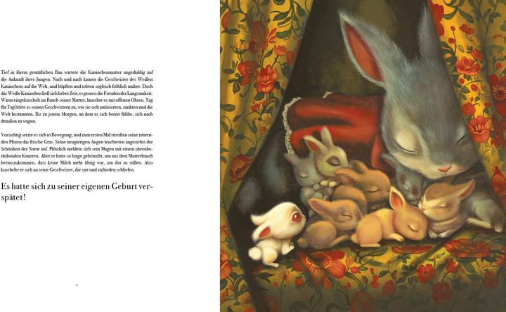 Actual product image Das Weisse Kaninchen kommt zu spät (German, Edmund Jacoby, Benjamin Lacombe, 2025)