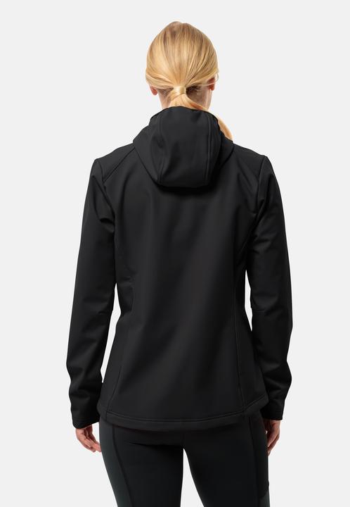 Actual product image Jack Wolfskin Bornberg Hoody W (XL)