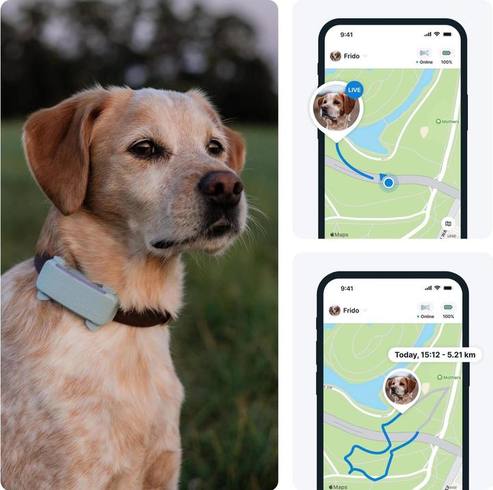 Produktbild Tractive GPS Tracker Dog 6 (Hund)