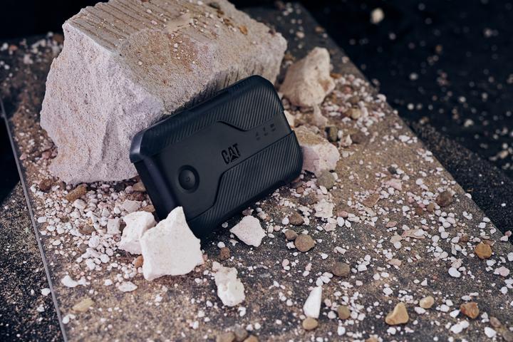 Actual product image Cat Q10