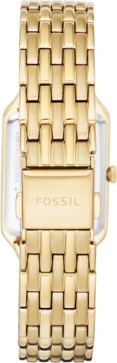 Actual product image Fossil Raquel (Analogue wristwatch, 23 mm)