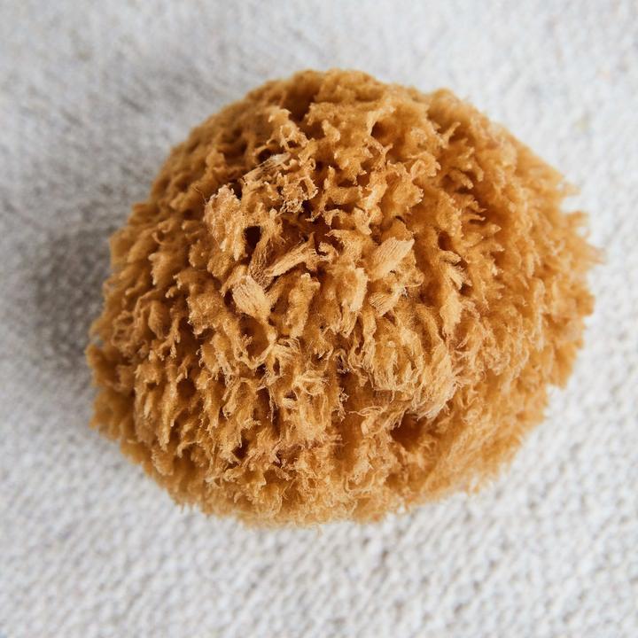 Actual product image Meraki Bahamas