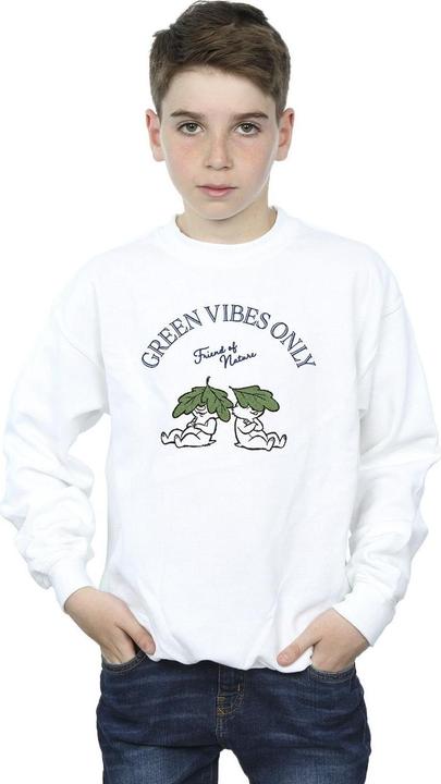 Image du produit Disney - Sweat CHIP 'N DALE GREEN VIBES ONLY - Garçon (140, 146)