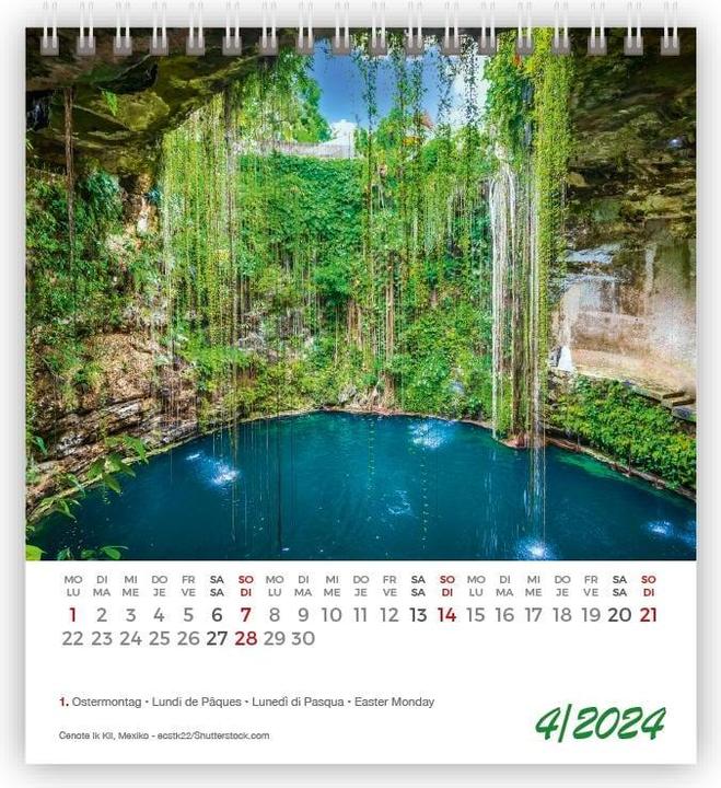 Produktbild Kalender Lustige Tiere Mini 2024 (11 x 10 cm)