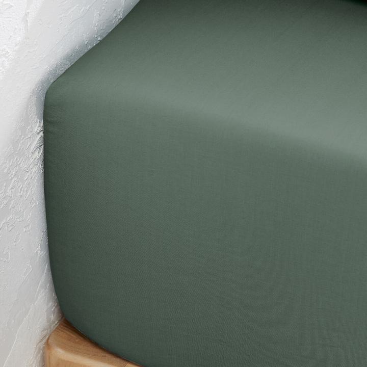 Actual product image La Redoute Interieurs Percale Bio (180 x 200 cm)