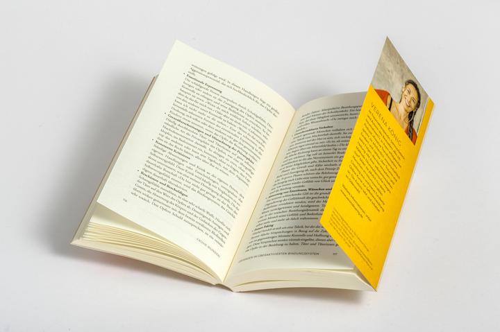 Actual product image Trauma und Beziehungen (German, Verena King, Verena Mayer-Kolbinger, 2024)