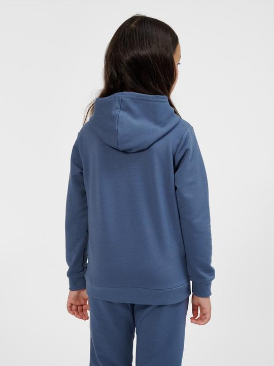 Actual product image hummel hmlCUATRO HOODIE (122)