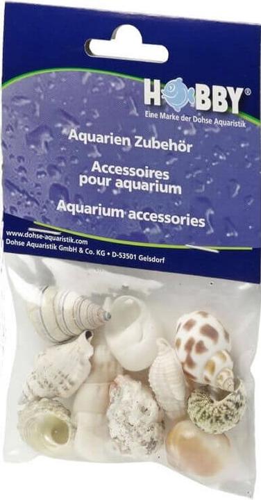 Productafbeelding Hobby Aquarium Decoratie Slak Schelpen Zeeschelpen Set M 10 stuks (Andere objecten)