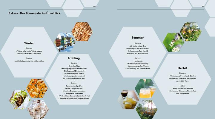 Actual product image Imkern – Bienenhaltung für Einsteiger (German, Pia Schad, 2022)