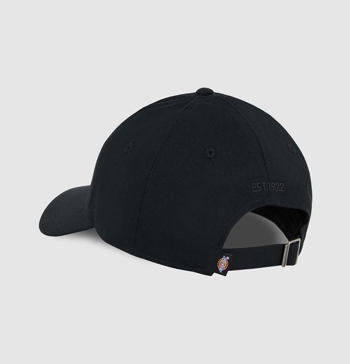 Produktbild Dickies Essential Dad Cap (One Size)