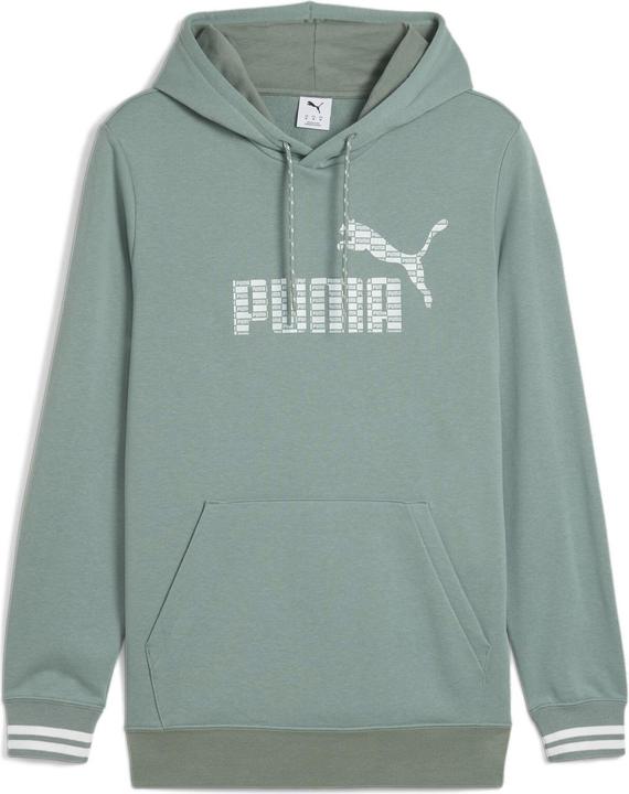 Image du produit Puma UNITED Sweat à capuche TR (L)