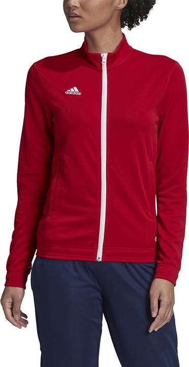 Actual product image adidas Entrada 22 women's training jacket (XS)