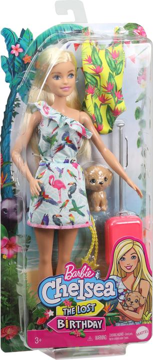 Produktbild Barbie Und Chelsea Der verlorene Geburtstag & Pet