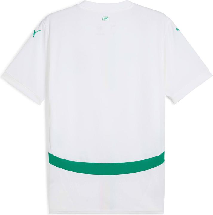 Actual product image Puma FSF Home Jersey Replica (M)