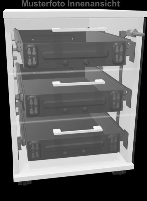 Produktbild Narbutas Optima Roll-Korpus 555 (430 x 800 x 594 mm)