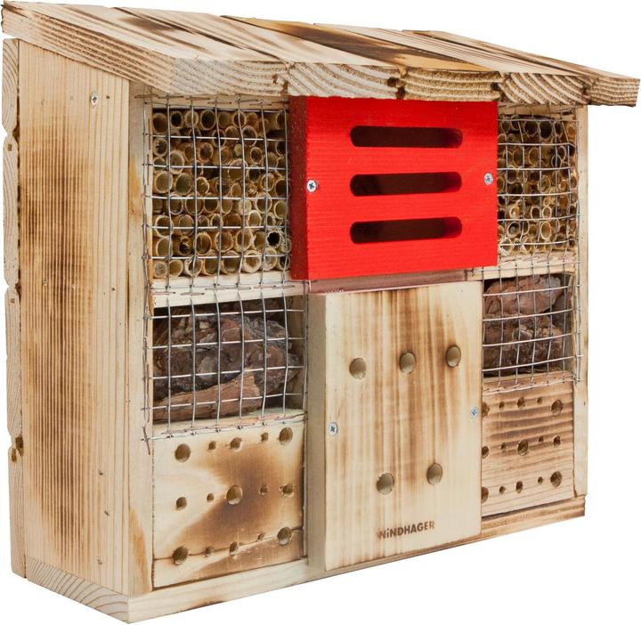 Produktbild Windhager Zur Linde (Florfliegen, Hummeln, Marienkäfer, Ohrwürmer, Wildbienen)