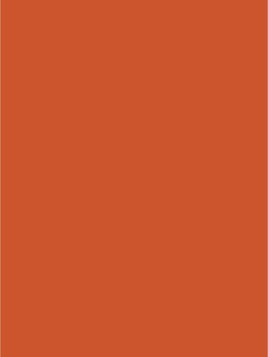 Immagine prodotto Clairefontaine Carta per poster (90 g/m², 25 x, 60 x 80 cm)