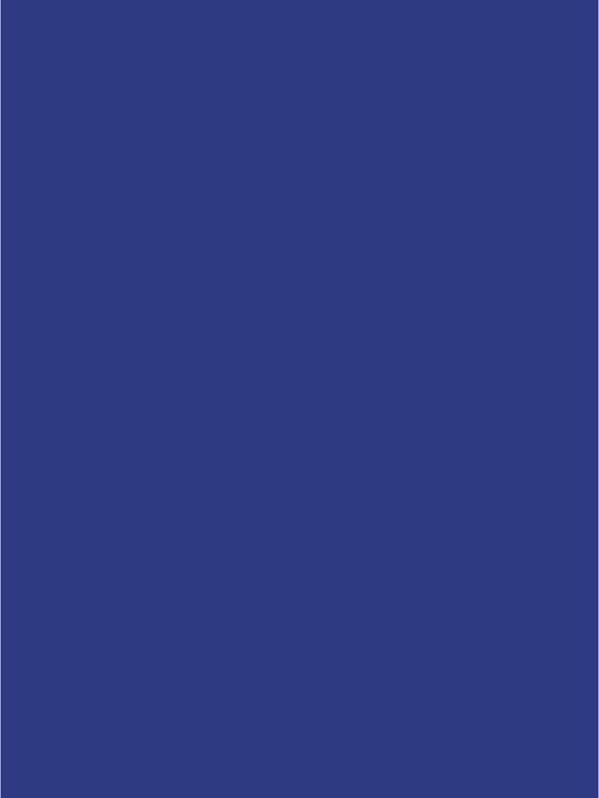 Actual product image Clairefontaine Poster paper (90 g/m², 25 x, 60 x 80 cm)
