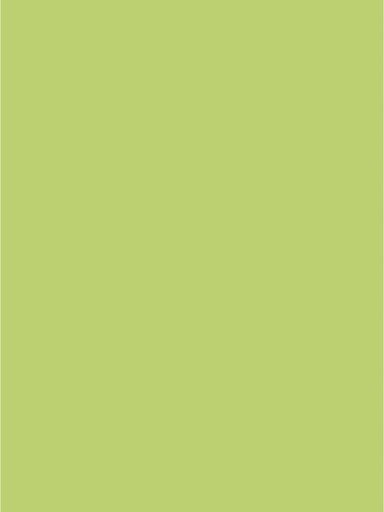 Image du produit Clairefontaine Papier affiche (90 g/m², 25 x, 60 x 80 cm)