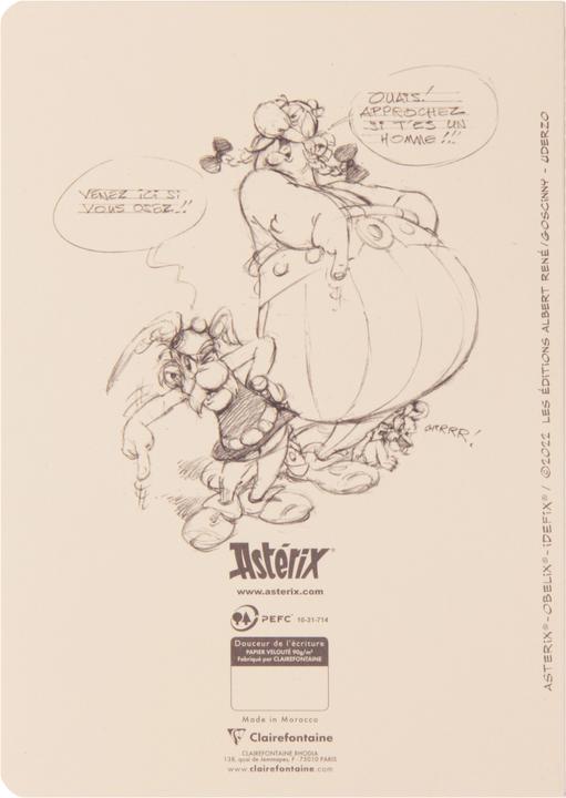 Image du produit Clairefontaine Astérix Crayonnés (AAA393, À rayures, Couverture rigide)