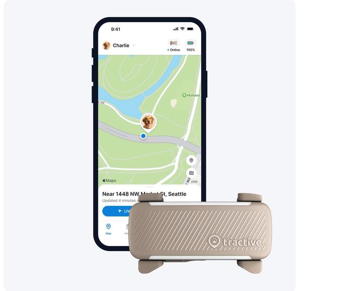 Actual product image Tractive GPS Tracker Dog 6 (Dog)