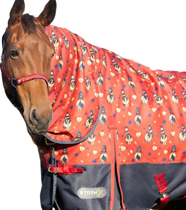 Actual product image Thelwell StormX Original 200 Balancing Act Combo Neck 200g Horse Combo Turnout Rug (100 cm)