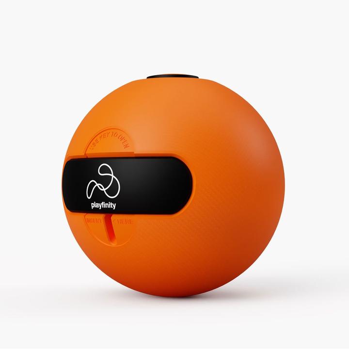 Immagine prodotto Playfinity Palla veloce