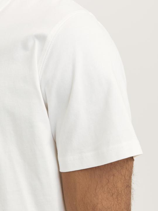 Immagine prodotto Jack & Jones Rdddan Crew Neck Tee S/S Noos (S)
