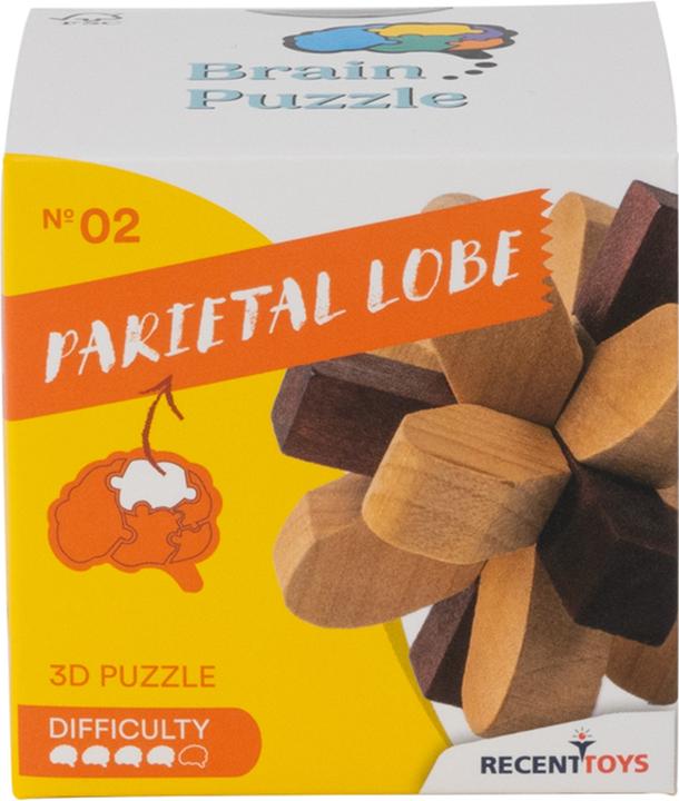Produktbild Recent Toys Brain Puzzle Nr.2 Parietal Lobe (Deutsch)