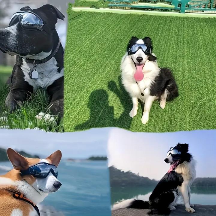 Actual product image Suba Hundebrille (Dog bathrobe)
