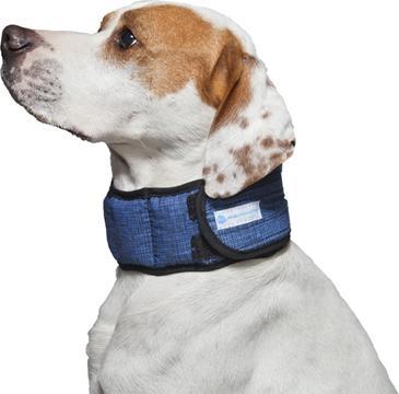Immagine prodotto Aqua Coolkeeper Blu Pacifico (XXL, Cane, Generale)