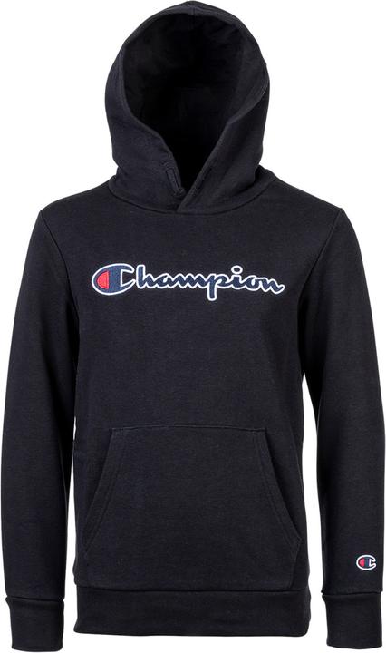 Actual product image Champion Sweatshirt Casual Loose Fit - 18024 (XS)
