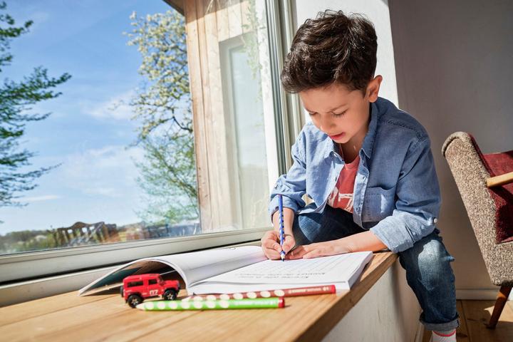 Immagine prodotto STABILO Easycolours per mancini (Rosso camino, 1 x)