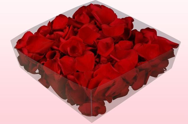 Immagine prodotto CreaDiva Petali di rosa veri, rossi 2 litri - conservati
