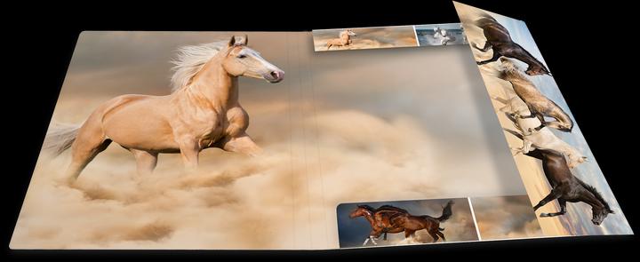 Actual product image Herma A4 motif folder (A4, 1 x)