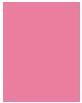 Immagine prodotto Clarins Lip Oil Balm 02 Pitaya 2.9g (Balsamo, 3 ml)
