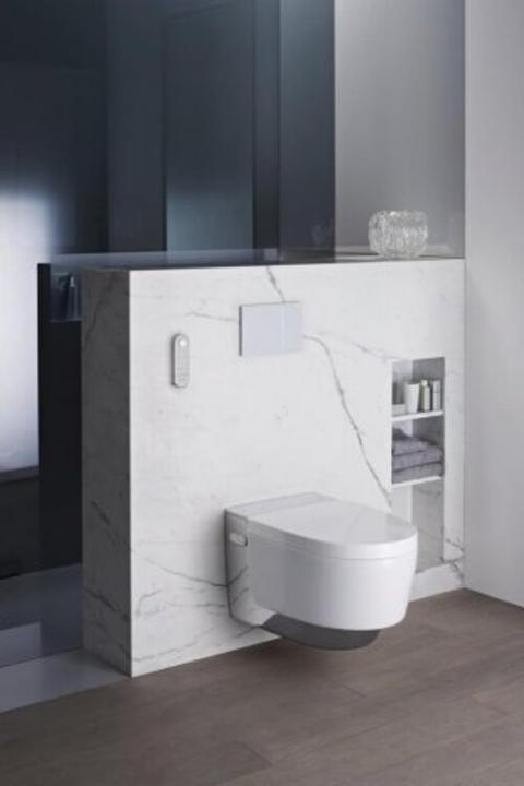 Actual product image Geberit AquaClean Mera