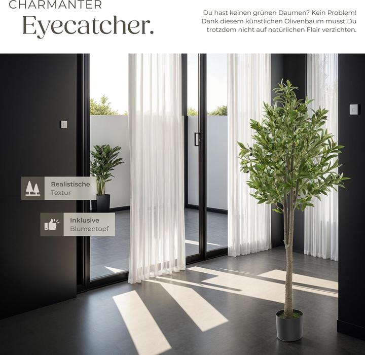 Image du produit tectake Olivenbaum Oleand (150 cm)